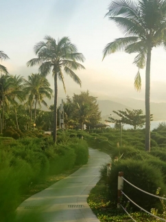 The Ritz - Carlton Sanya