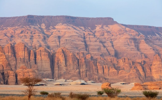 Banyan Tree Alula