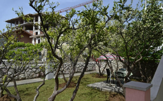 Apartments Stanka
