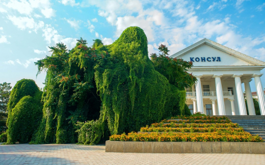 Ток "Судак"