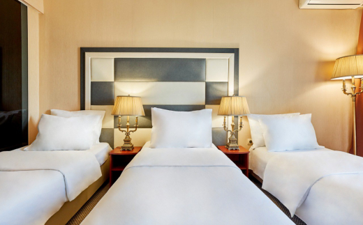 Vnukovo Village Park Hotel & Spa