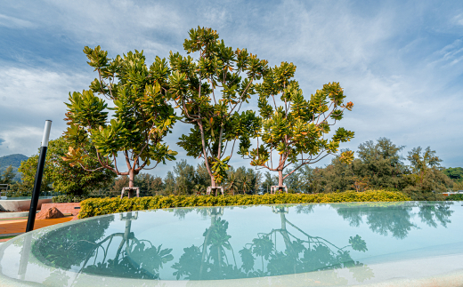 The Marin Phuket