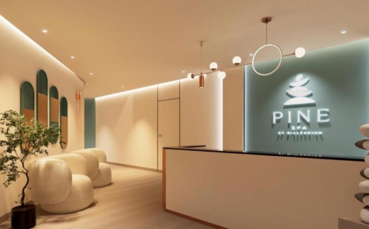Copthorne Lakeview Hotel, Dubai Investment Park