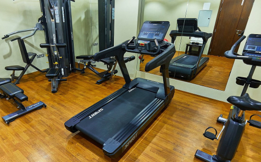 Rose Plaza Hotel Al Barsha