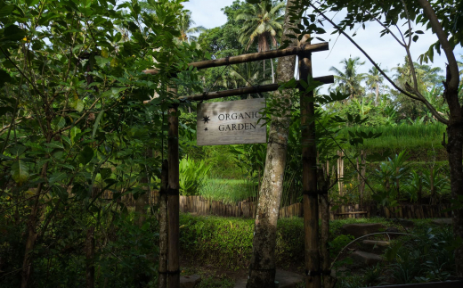 Capella Ubud