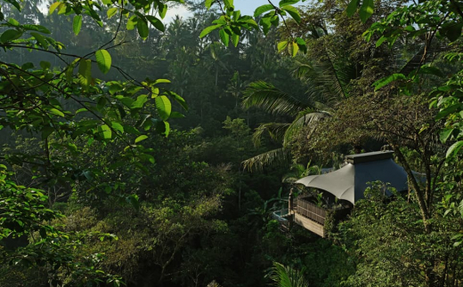 Capella Ubud