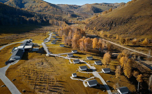 Маральник Алтай Пэлас