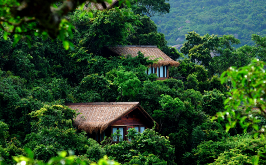 Yalong Bay Earthly Paradise Birds Nest Resort