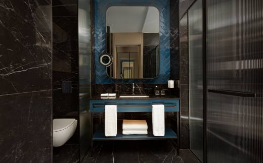 Intercontinental Tashkent, Ihg Hotel