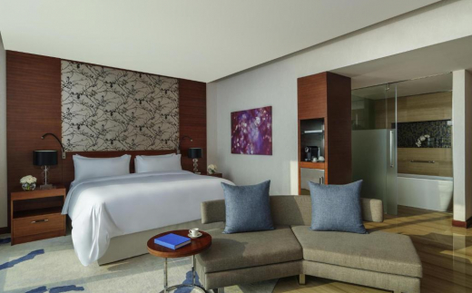 Fairmont Bab Al Bahr, Abu Habi