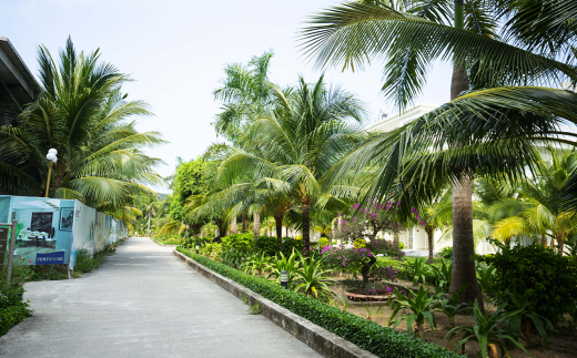 Delete_costabella Resort Nha Trang (Ex. Diamond Bay Condotel Resort)