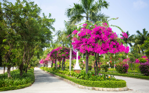 Delete_costabella Resort Nha Trang (Ex. Diamond Bay Condotel Resort)
