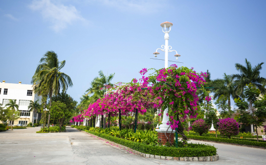 Delete_costabella Resort Nha Trang (Ex. Diamond Bay Condotel Resort)