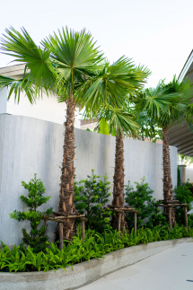 Panwaburi Beachfront Phuket