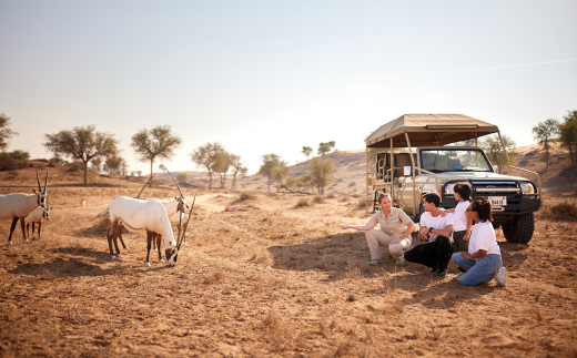 The Ritz-Carlton Ras Al Khaimah, Al Wadi Desert