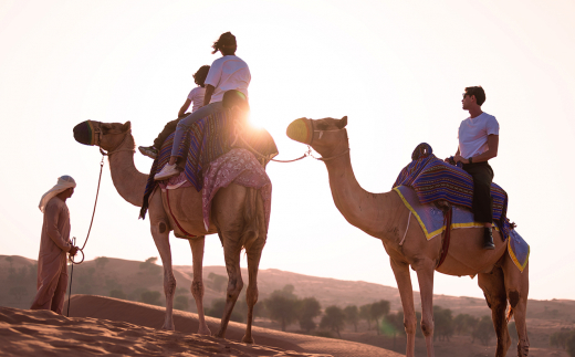 The Ritz-Carlton Ras Al Khaimah, Al Wadi Desert
