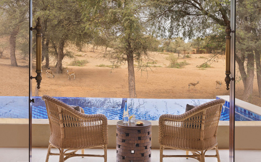 The Ritz-Carlton Ras Al Khaimah, Al Wadi Desert