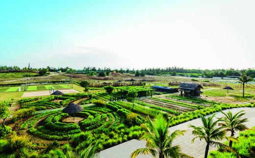 Robinson Nam Hoi An