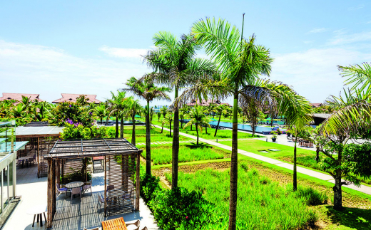 Robinson Nam Hoi An