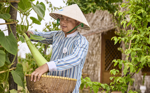 Robinson Nam Hoi An