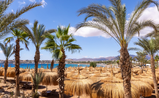 Swissotel Sharm El Sheikh