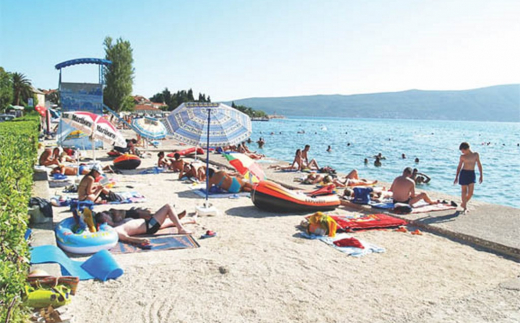 Kamelija