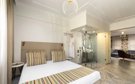 Alp Pasa Hotel