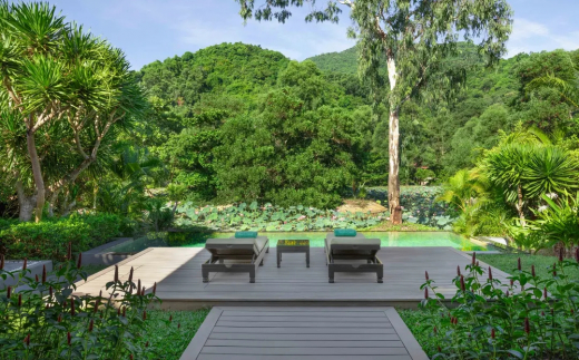 Banyan Tree Lang Co