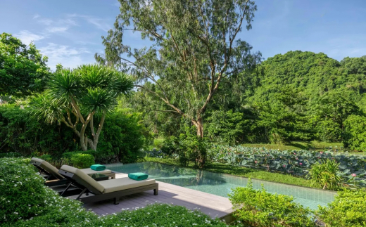 Banyan Tree Lang Co