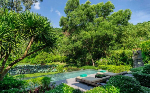 Banyan Tree Lang Co