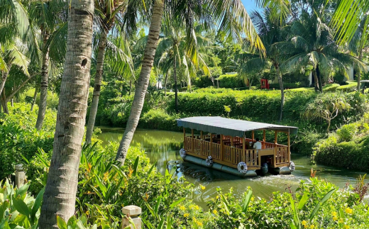 Banyan Tree Lang Co