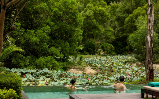 Banyan Tree Lang Co