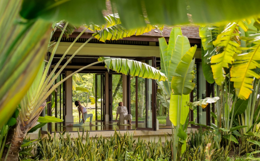 Banyan Tree Lang Co
