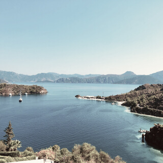 D Maris Bay