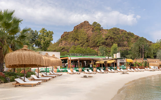 D Maris Bay