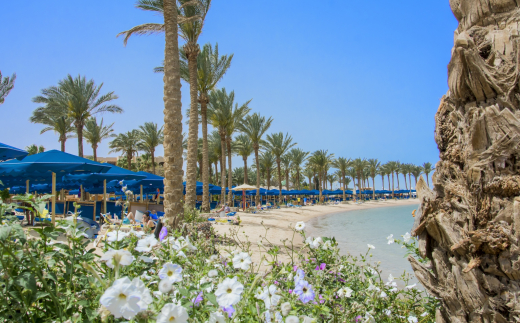 Continental Hotel Hurghada
