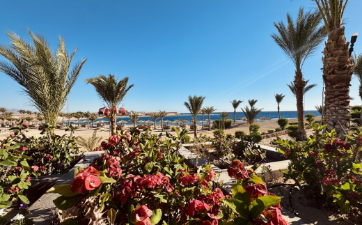 Coral Sun Beach