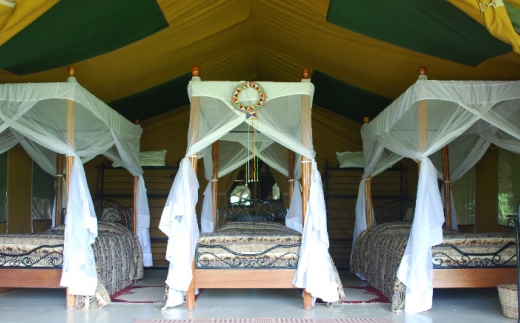 Flamingo Hill Tented Camp