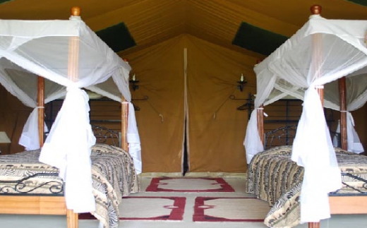 Flamingo Hill Tented Camp