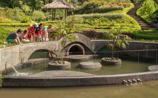 Padma Resort Ubud Puhu