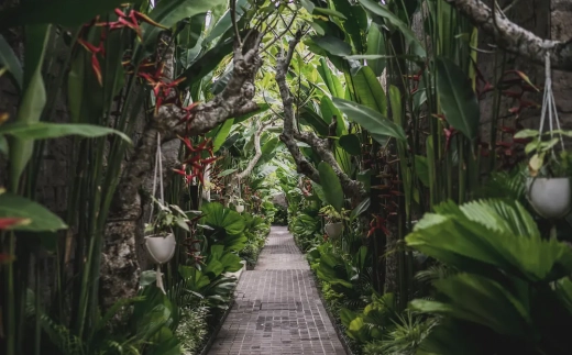 Asvara Villa Ubud