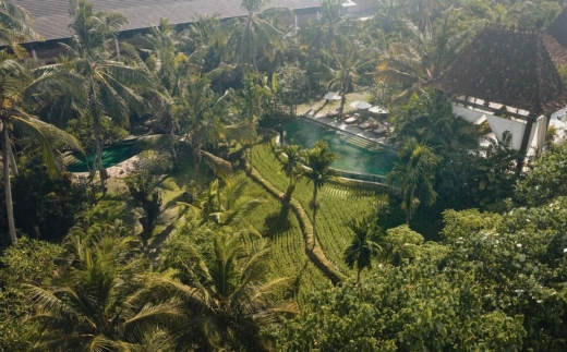 Alaya Ubud