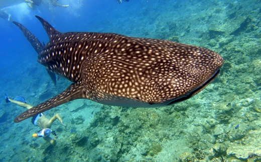 Radisson Blu Maldives