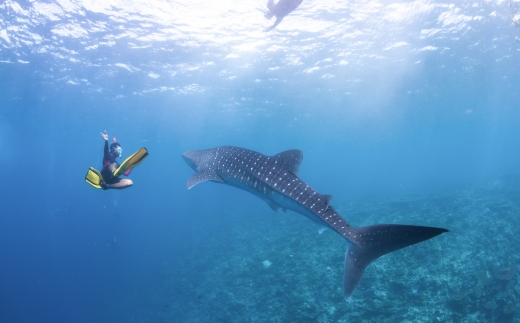 Radisson Blu Maldives