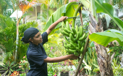 Le Duc De Praslin