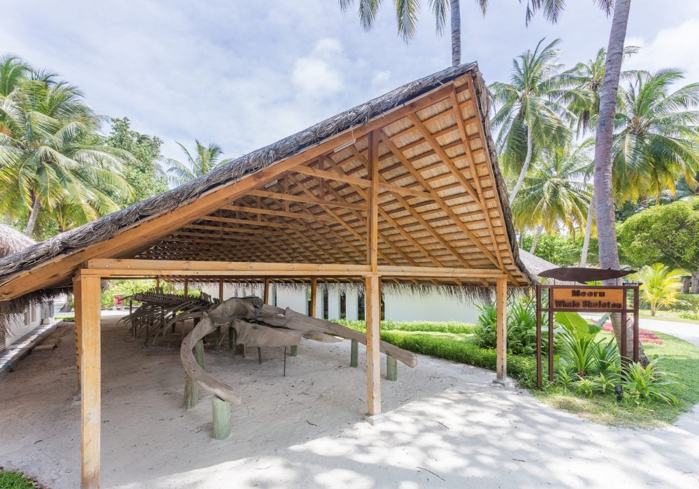 Meeru island resort spa maldives. Отель Мееру Исланд Мальдивы. Meeru Island Resort Spa 4. Garden Villa Мальдивы Meeru. Meeru Island Resort 3*, Мальдивы, Мальдивский архипелаг.